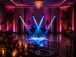dj animado para festa de mini Wedding - Padoma Eventos